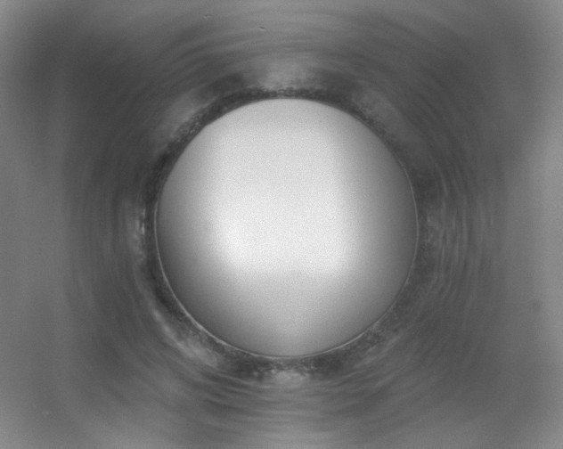 X0000055520592200508121045
