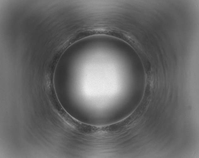 X0000055520593200508121045