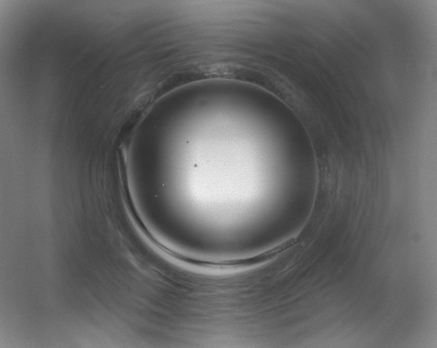 X0000055520603200508121045