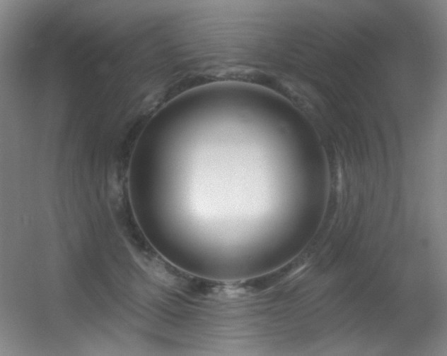 X0000055520607200508121045