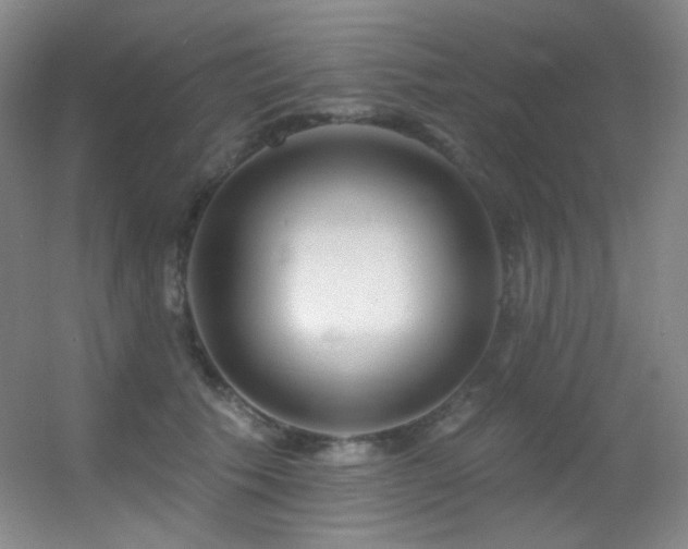X0000055520609200508121045