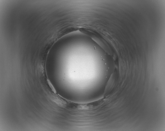 X0000055520613200508121045