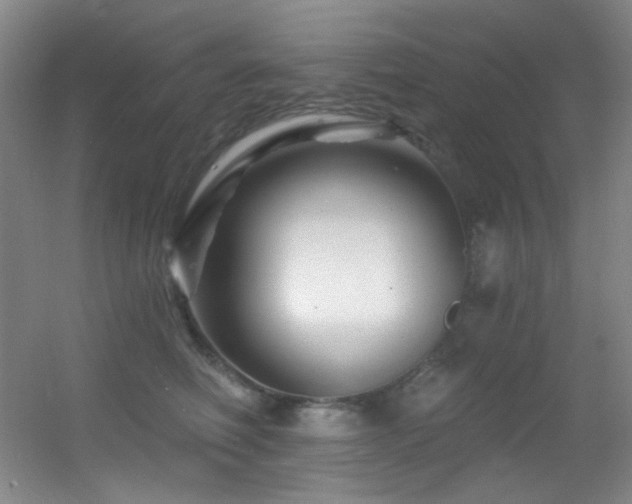 X0000055520614200508121045