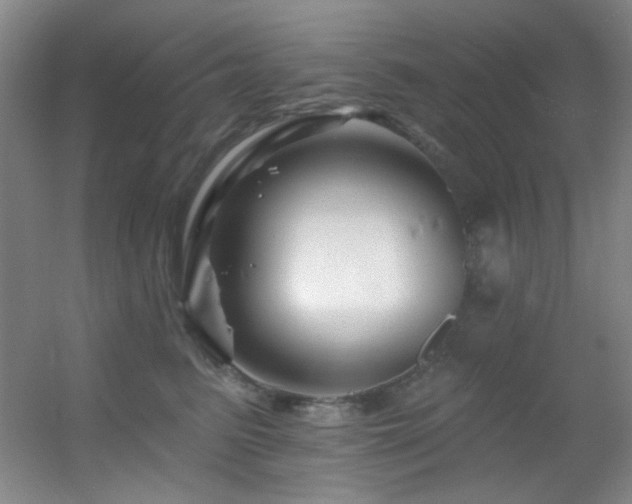 X0000055520615200508121045