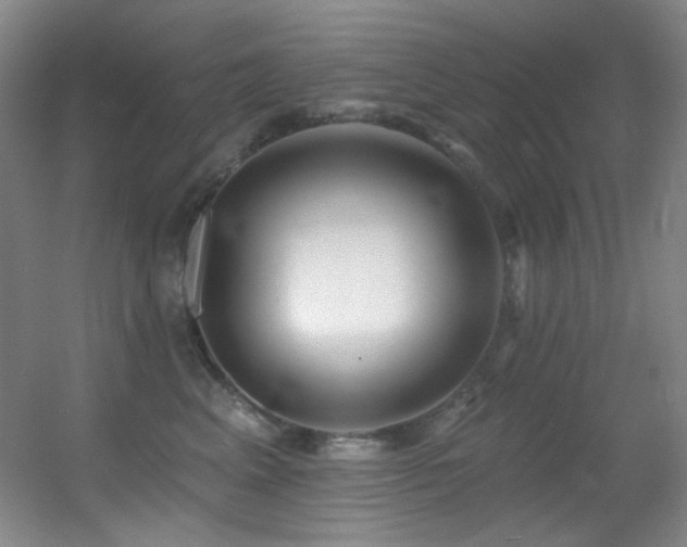 X0000055520617200508121045