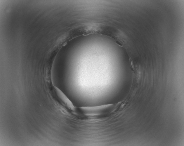 X0000055520619200508121045