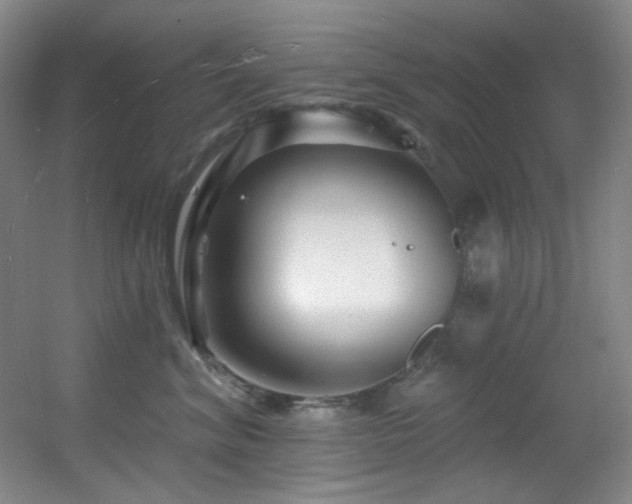X0000055520620200508121045