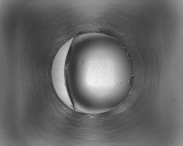 X0000055520624200508121045