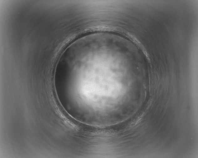 X0000055520625200508121044