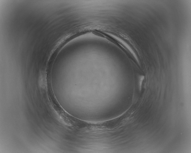 X0000055520626200508121044