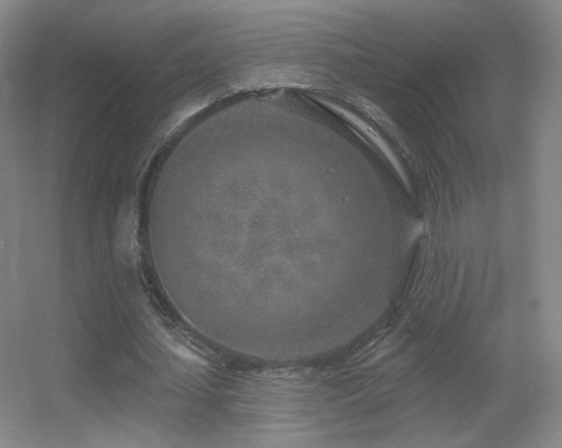 X0000055520627200508121044