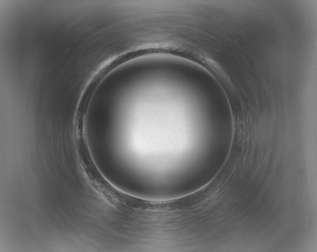 X0000055520628200508121044