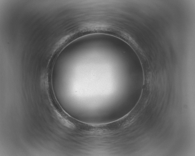 X0000055520629200508121044