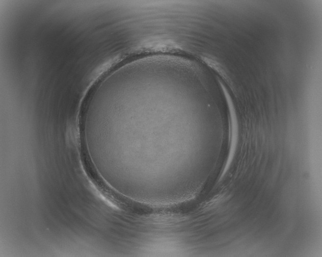 X0000055520630200508121044