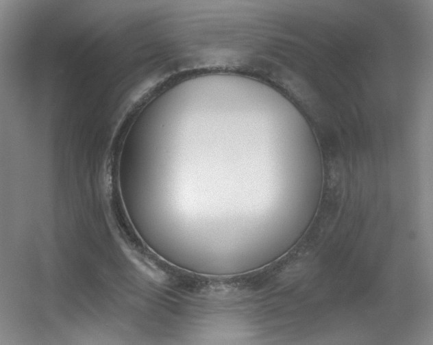 X0000055520632200508121044