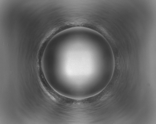 X0000055520634200508121044