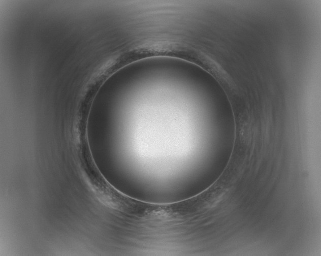 X0000055520635200508121044