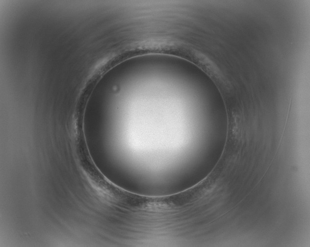 X0000055520636200508121044