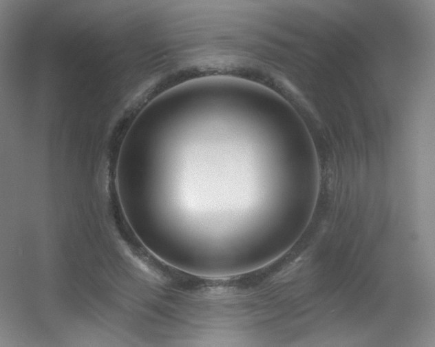 X0000055520637200508121044