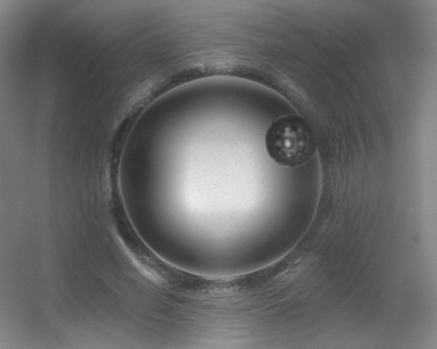 X0000055520638200508121044