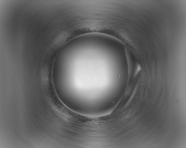 X0000055520639200508121044