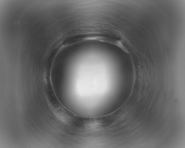 X0000055520643200508121044