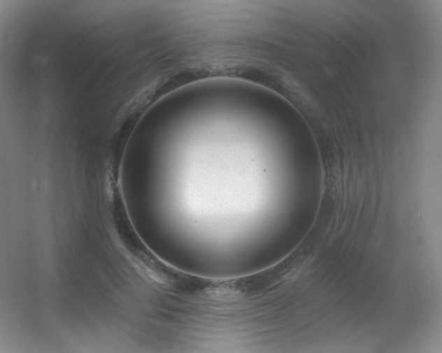 X0000055520644200508121044