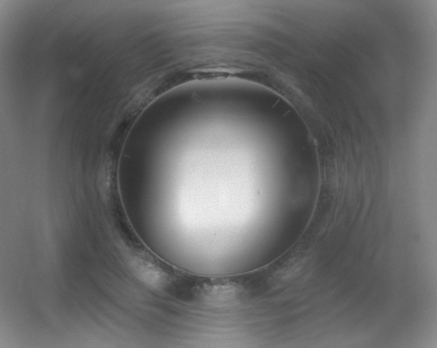 X0000055520645200508121044