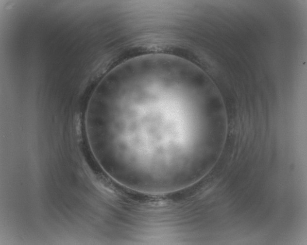 X0000055520646200508121044