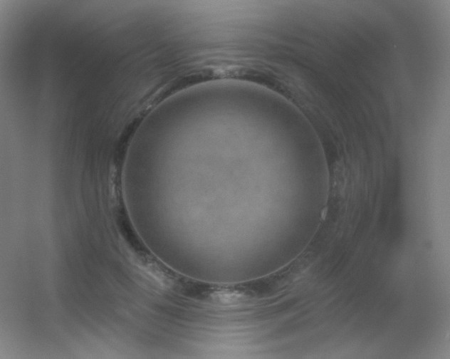 X0000055520650200508121044