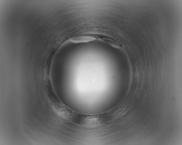X0000055520651200508121044