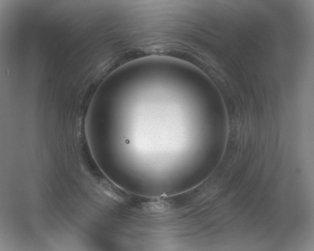 X0000055520652200508121044