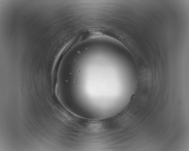 X0000055520653200508121044