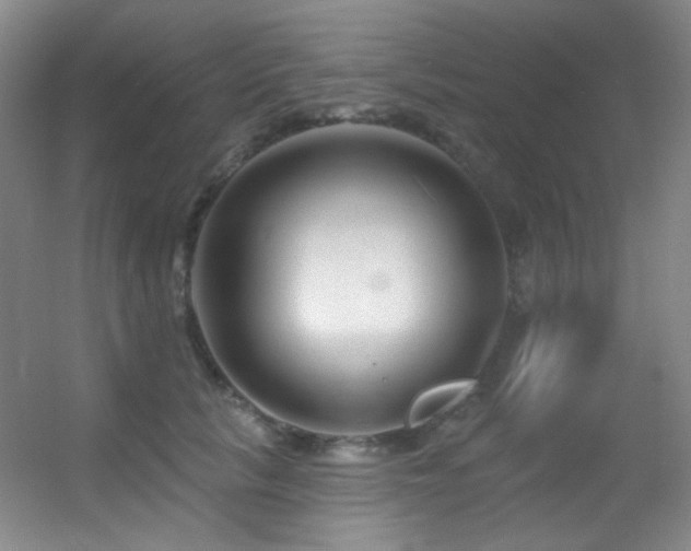 X0000055520657200508121044