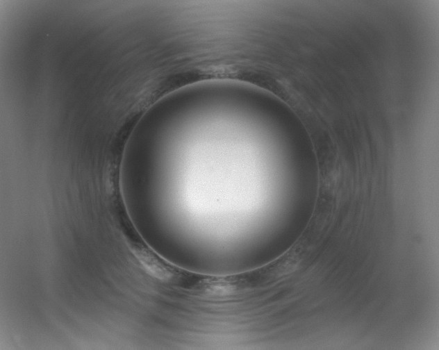 X0000055520658200508121045