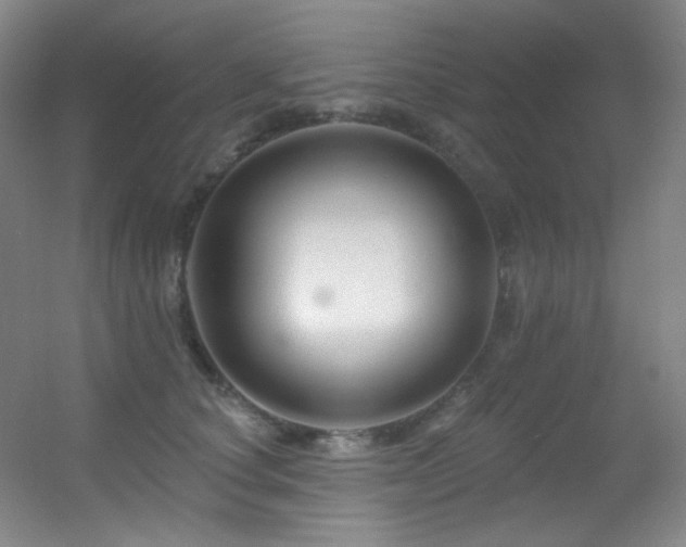 X0000055520660200508121045