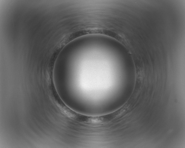 X0000055520662200508121045