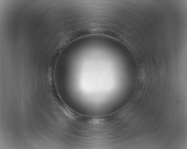 X0000055520664200508121045