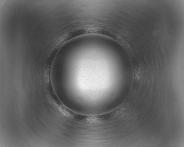 X0000055520666200508121045
