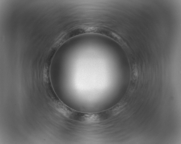 X0000055520667200508121045