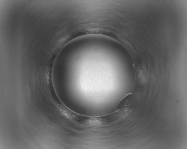 X0000055520668200508121045