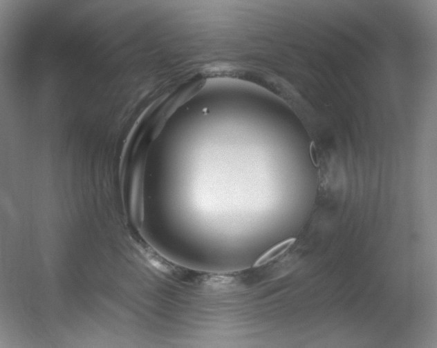 X0000055520669200508121045