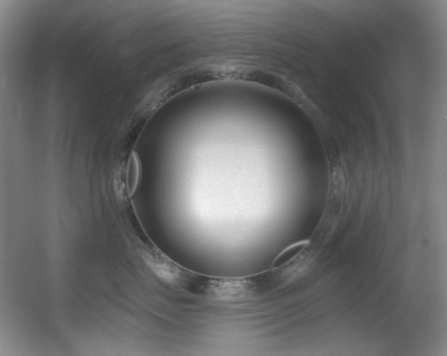X0000055520671200508121045
