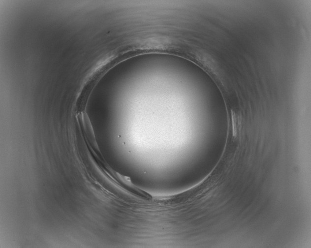 X0000055520675200508121044