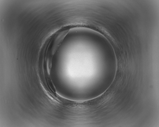 X0000055520677200508121044