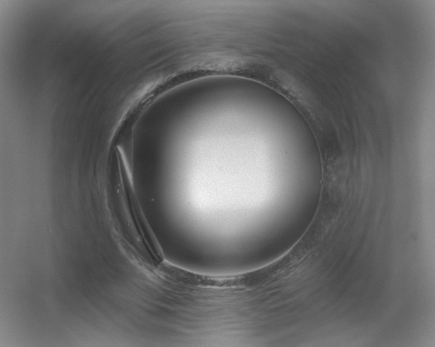 X0000055520679200508121044