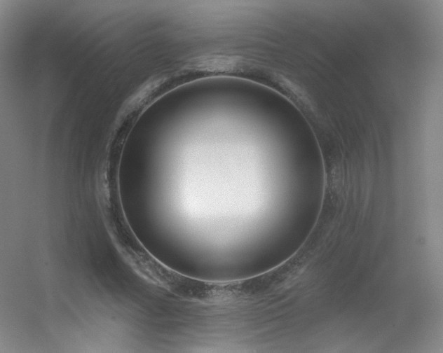 X0000055520682200508121044