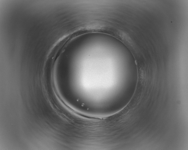 X0000055520684200508121044