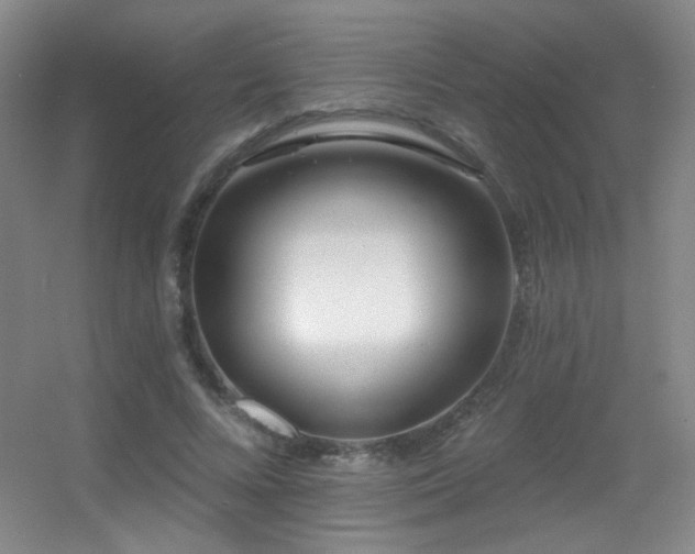 X0000055520688200508121044