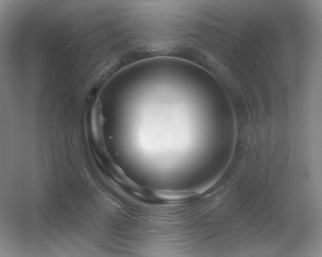 X0000055520689200508121044